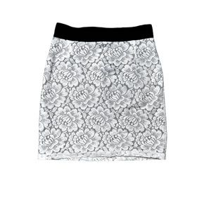 H&M Lace Skirt  with Nude Lining
